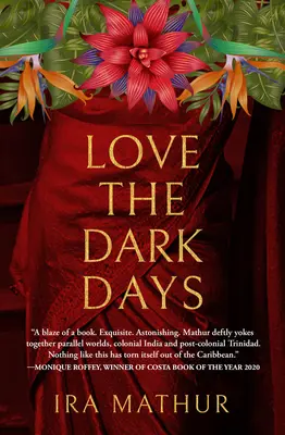 Iubește zilele întunecate - Love the Dark Days