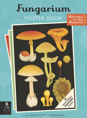 Cartea cu afișe Fungarium - Fungarium Poster Book