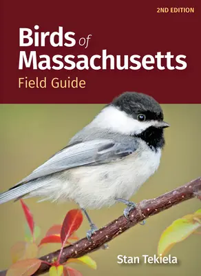 Ghidul de teren al păsărilor din Massachusetts - Birds of Massachusetts Field Guide