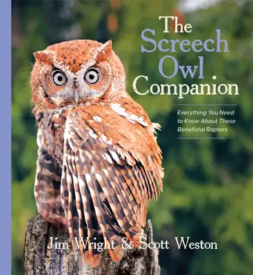 The Screech Owl Companion: Tot ce trebuie să știți despre aceste răpitoare benefice - The Screech Owl Companion: Everything You Need to Know about These Beneficial Raptors