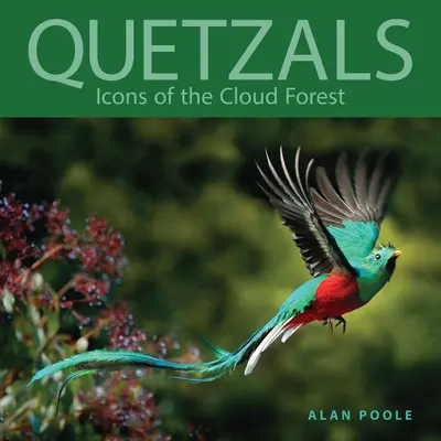 Quetzals: Icoane ale pădurii noroase - Quetzals: Icons of the Cloud Forest