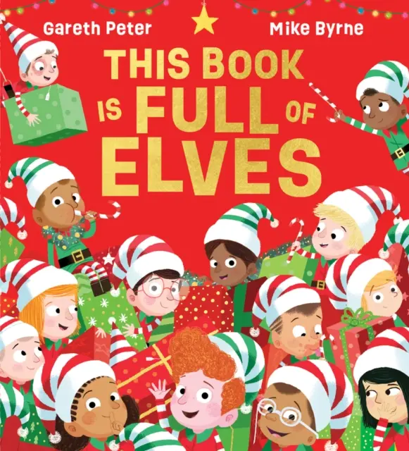 Această carte este plină de elfi (PB) - This Book is Full of Elves (PB)