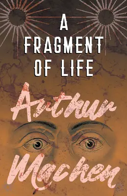 Un fragment de viață - A Fragment of Life