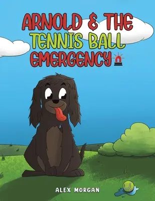 Arnold și urgența mingii de tenis - Arnold & The Tennis Ball Emergency