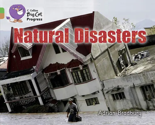 Dezastre naturale - Natural Disasters