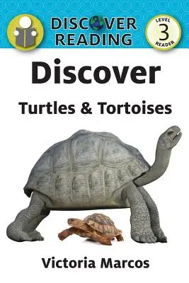 Descoperă țestoasele și broaștele țestoase - Discover Turtles & Tortoises