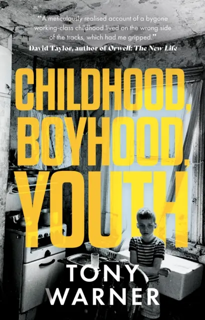 Copilărie, copilărie, tinerețe - Childhood, Boyhood, Youth