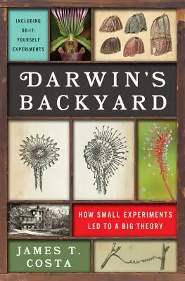 Darwin's Backyard: Cum experimentele mici au condus la o teorie mare - Darwin's Backyard: How Small Experiments Led to a Big Theory