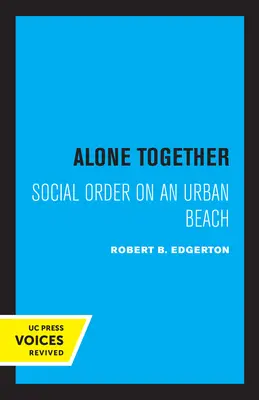 Singuri împreună: Ordine socială pe o plajă urbană - Alone Together: Social Order on an Urban Beach