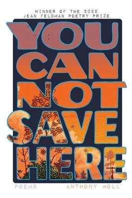 Nu poți salva aici - You Cannot Save Here