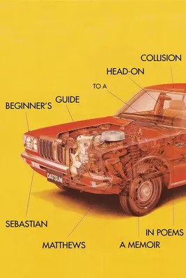 Ghidul începătorului pentru o coliziune frontală - Beginner's Guide to a Head-On Collision