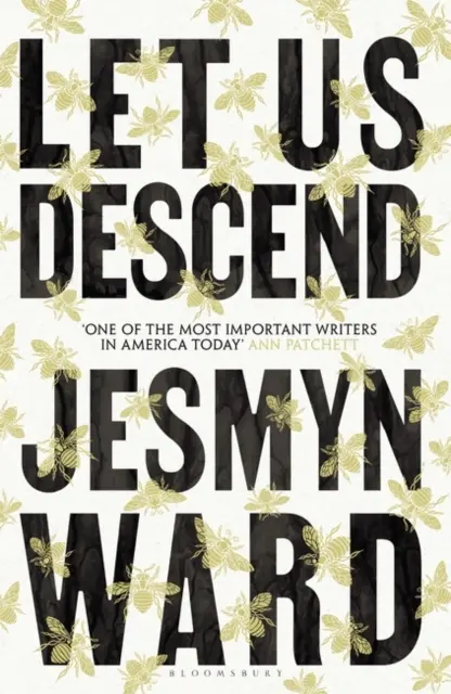 Let Us Descend - O alegere a Clubului de carte Oprah - Let Us Descend - An Oprah's Book Club Pick