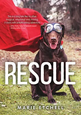Salvarea - Rescue