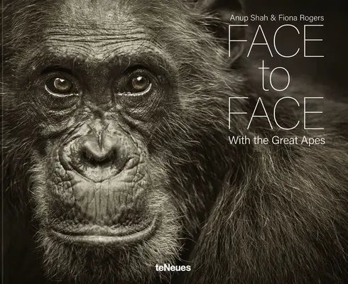 Față în față: Cu marile maimuțe - Face to Face: With the Great Apes
