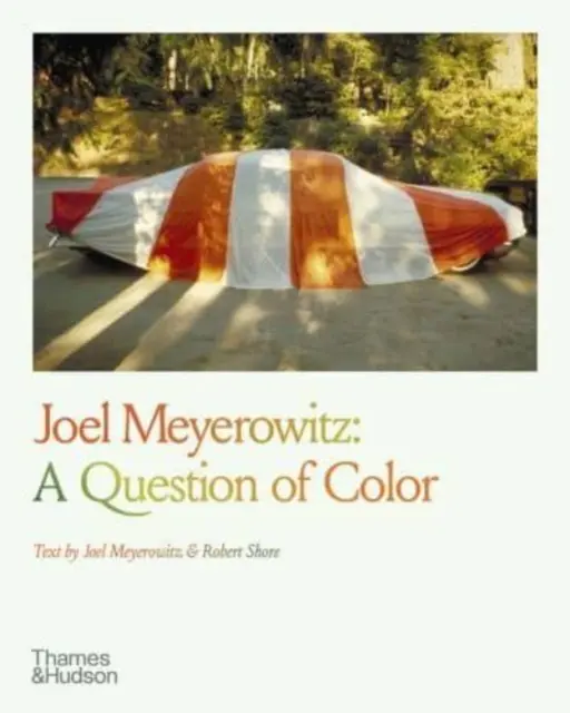 Joel Meyerowitz: O chestiune de culoare - Joel Meyerowitz: A Question of Color
