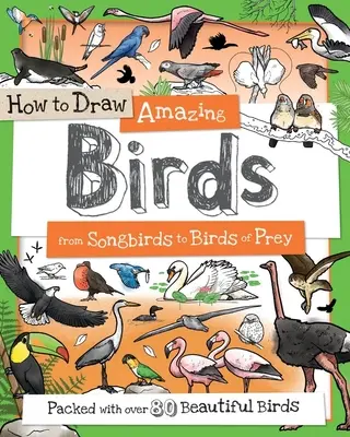 Cum să desenezi păsări uimitoare: De la păsări cântătoare la păsări de pradă - How to Draw Amazing Birds: From Songbirds to Birds of Prey