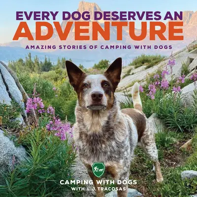 Fiecare câine merită o aventură: Povești uimitoare de camping cu câini - Every Dog Deserves an Adventure: Amazing Stories of Camping with Dogs
