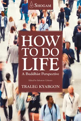 Cum să faci viața: O perspectivă budistă - How to Do Life: A Buddhist Perspective