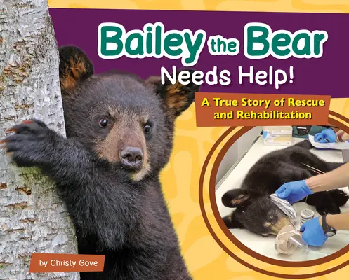 Ursul Bailey are nevoie de ajutor! O poveste adevărată de salvare și reabilitare - Bailey the Bear Needs Help!: A True Story of Rescue and Rehabilitation