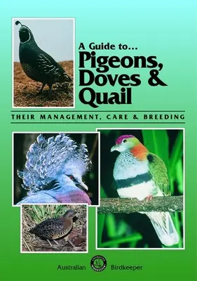Un ghid al porumbeilor, porumbeilor și prepelițelor: Managementul, îngrijirea și reproducerea lor - A Guide to Pigeons, Doves & Quail: Their Management, Care & Breeding