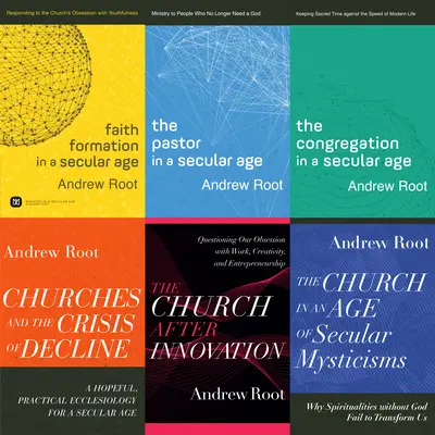 Setul Ministry in a Secular Age - Ministry in a Secular Age Set