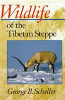 Viața sălbatică din stepa tibetană - Wildlife of the Tibetan Steppe