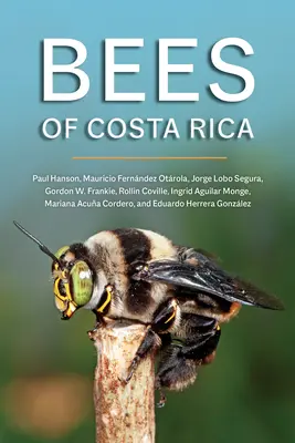 Albinele din Costa Rica - Bees of Costa Rica