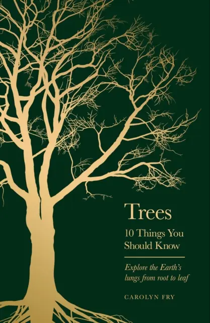 Arbori - 10 lucruri pe care ar trebui să le știți - Trees - 10 Things You Should Know