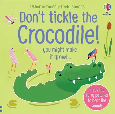 Nu gâdila crocodilul! - Don't Tickle the Crocodile!