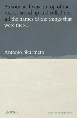 The Names of the Things That Were There: Povestiri - The Names of the Things That Were There: Stories