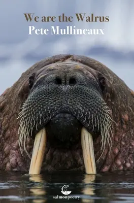 Noi suntem Morsa - We Are the Walrus