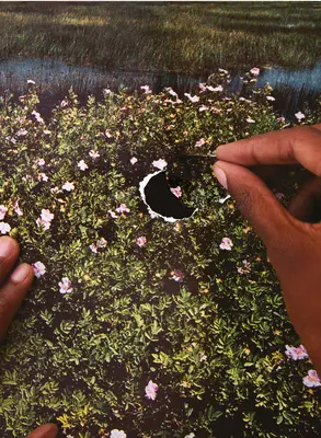 Re/Sisters: O perspectivă asupra genului și ecologiei - Re/Sisters: A Lens on Gender and Ecology