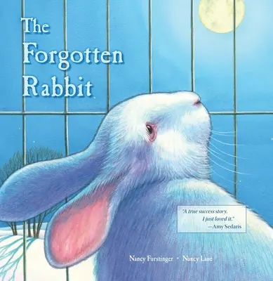 Iepurele uitat - The Forgotten Rabbit