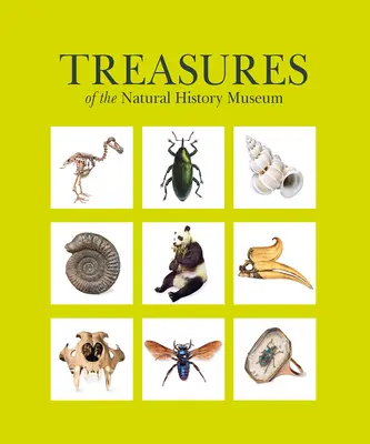Comorile Muzeului de Istorie Naturală: Ediție de buzunar - Treasures of the Natural History Museum: Pocket Edition