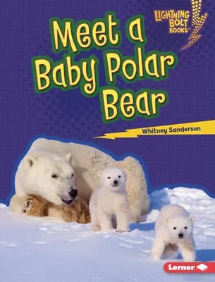 Faceți cunoștință cu un pui de urs polar - Meet a Baby Polar Bear