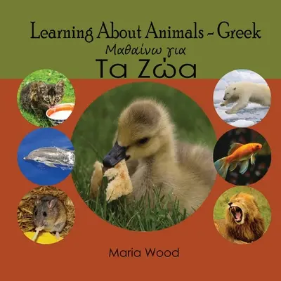 Învățarea despre animale - greacă - Learning About Animals- Greek