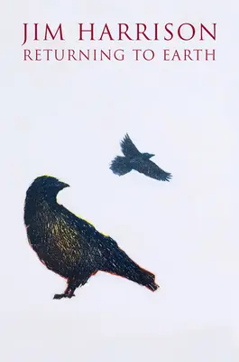 Întoarcerea pe Pământ - Returning to Earth