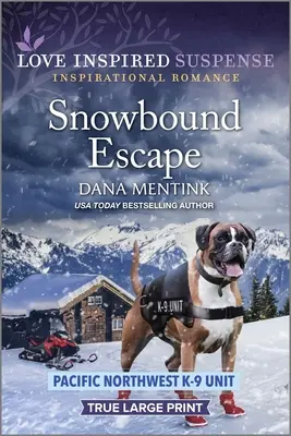 Evadare în zăpadă - Snowbound Escape