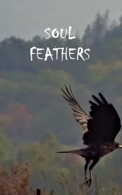 Pene de suflet - Soul Feathers
