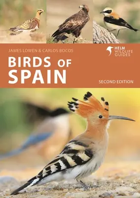 Păsările din Spania: Ediția a doua - Birds of Spain: Second Edition