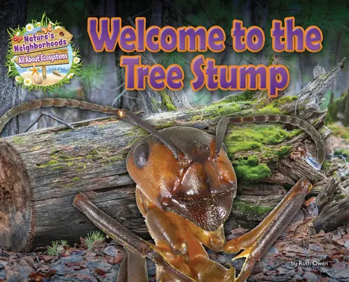 Bine ați venit la buturuga de copac - Welcome to the Tree Stump