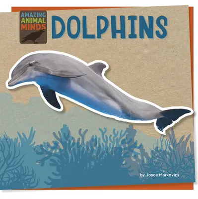 Delfinii - Dolphins