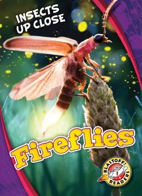 Licurici - Fireflies