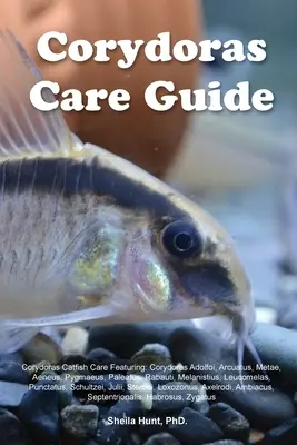 Ghid de îngrijire Corydoras. Îngrijirea peștelui pisică Corydoras: Corydoras Adolfoi, Arcuatus, Metae, Aeneus, Pygmaeus, Paleatus, Rabauti, Melanistius, Leucomel - Corydoras Care Guide. Corydoras Catfish Care Featuring: Corydoras Adolfoi, Arcuatus, Metae, Aeneus, Pygmaeus, Paleatus, Rabauti, Melanistius, Leucomel