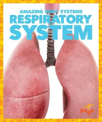 Sistemul respirator - Respiratory System