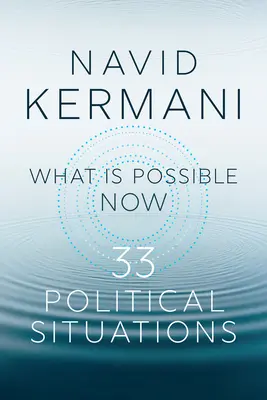 Ce este posibil acum: 33 de situații politice - What Is Possible Now: 33 Political Situations