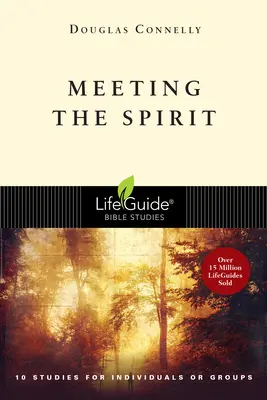 Întâlnirea cu Spiritul - Meeting the Spirit