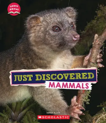 Mamifere abia descoperite (Învățați despre: animale) - Just Discovered Mammals (Learn About: Animals)