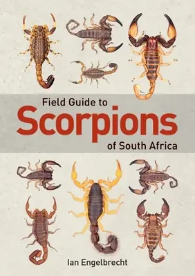 Ghid de teren pentru scorpionii din Africa de Sud - Field Guide to Scorpions of South Africa