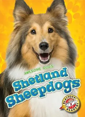 Ciobănești din Shetland - Shetland Sheepdogs